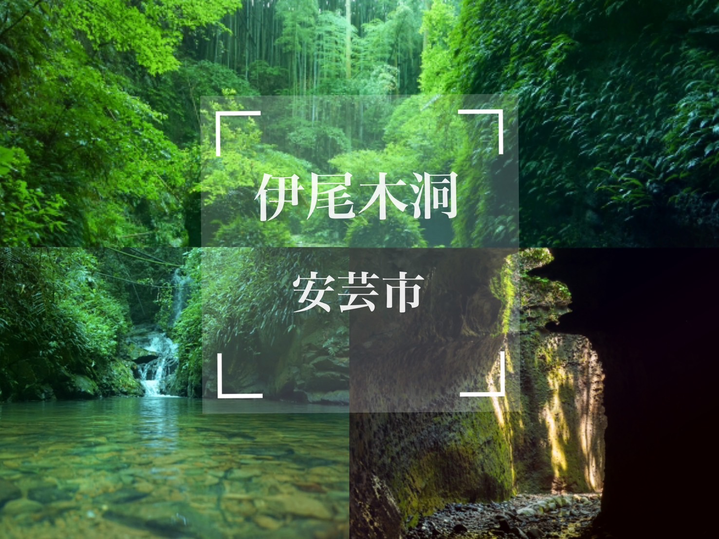 伊尾木洞