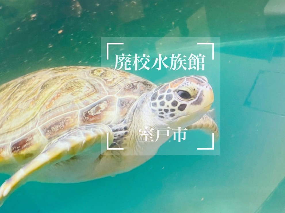 むろと廃校水族館