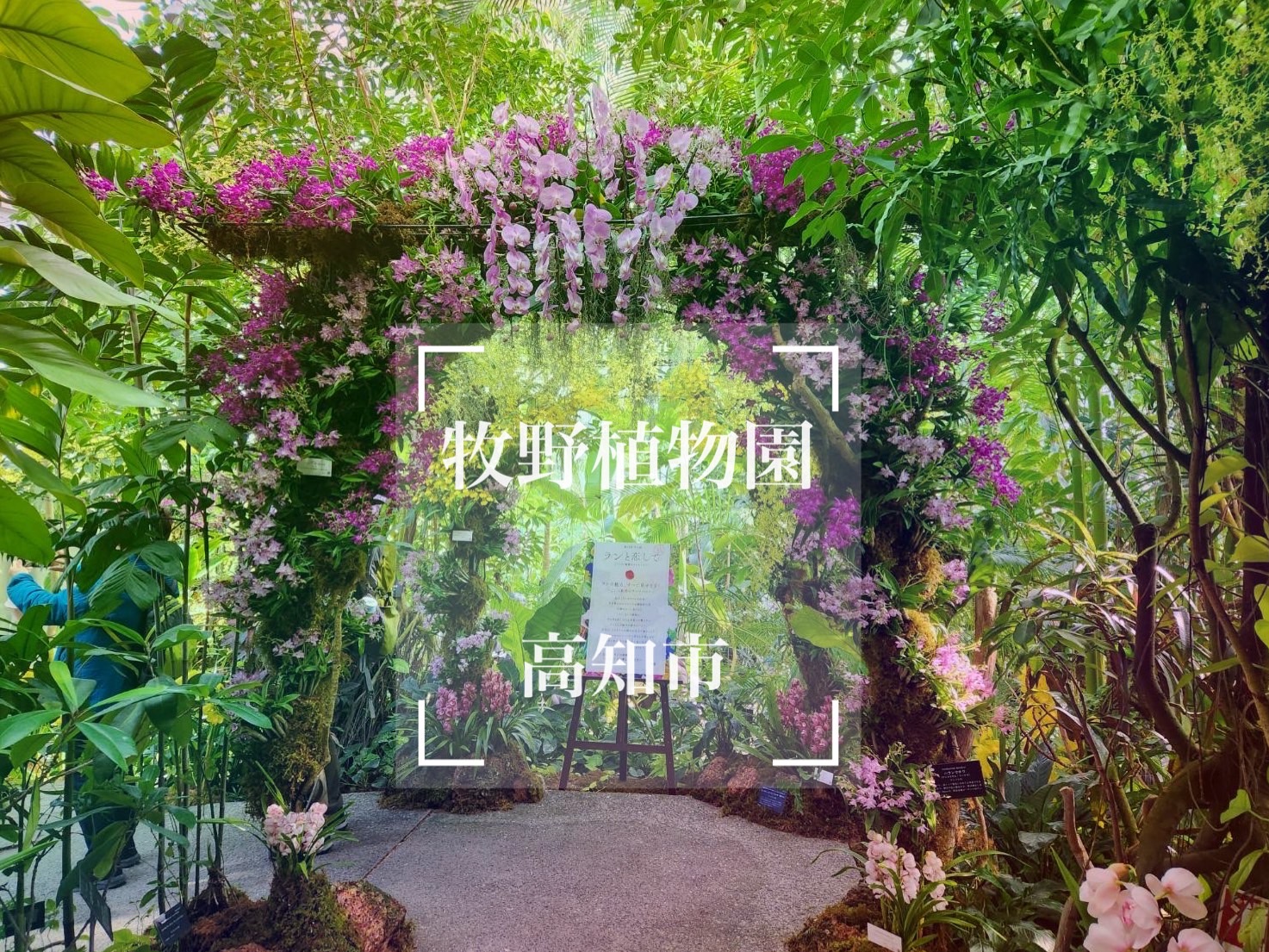 牧野植物園