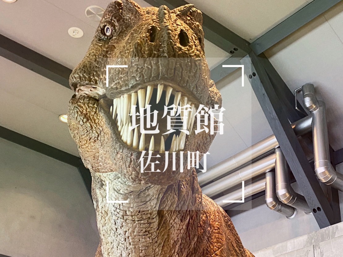 地質感