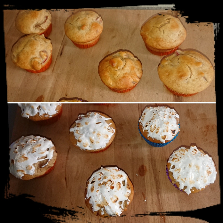 Rhabarber-Buttermilch-Muffin - zuckerwelt im test