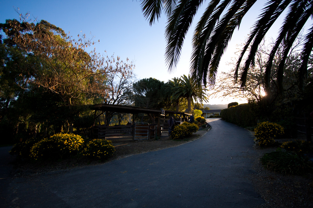 Voltigieren in Woodside, Kalifornien Voltigierbilder von Alina Atzler