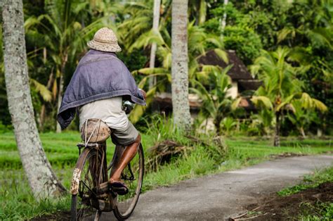 Experience the authentic Bali
