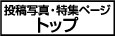 特集ページトップへ