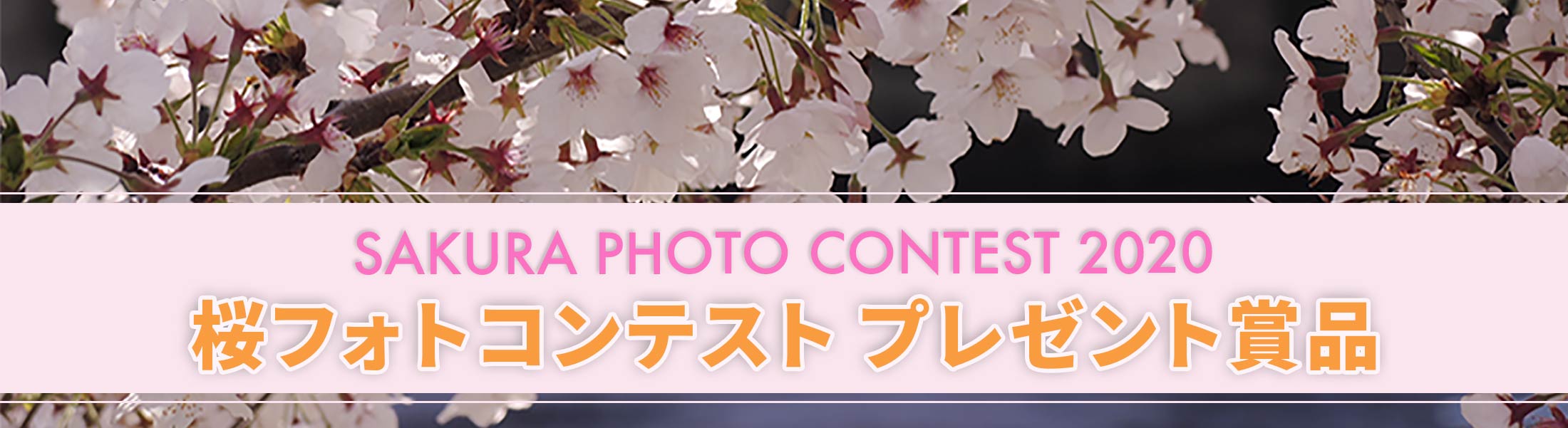 桜フォトコンテスト, プレゼント賞品, SAKURA PHOTO CONTEST 2020, プレゼント賞品一覧, 受賞プレゼント