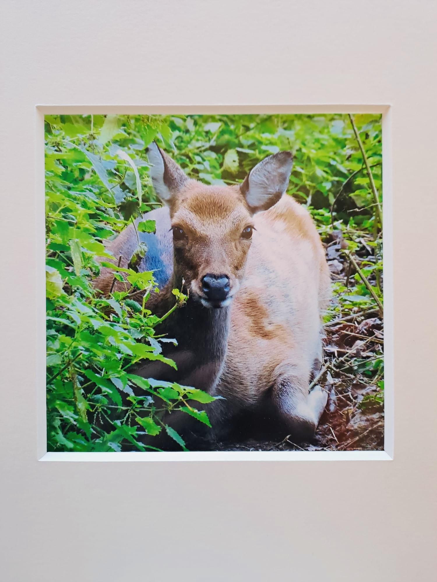 Doris Kolbe-Doost | Fotografie | Atelier 29 