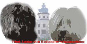 Tibet-Terrier vom Geilsdorfer Wasserschloss