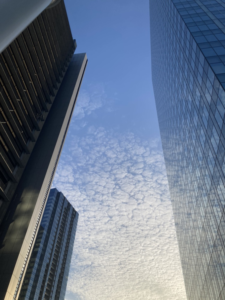 天気も良く大崎駅前の高層ビル群が空の青さを反映していました。