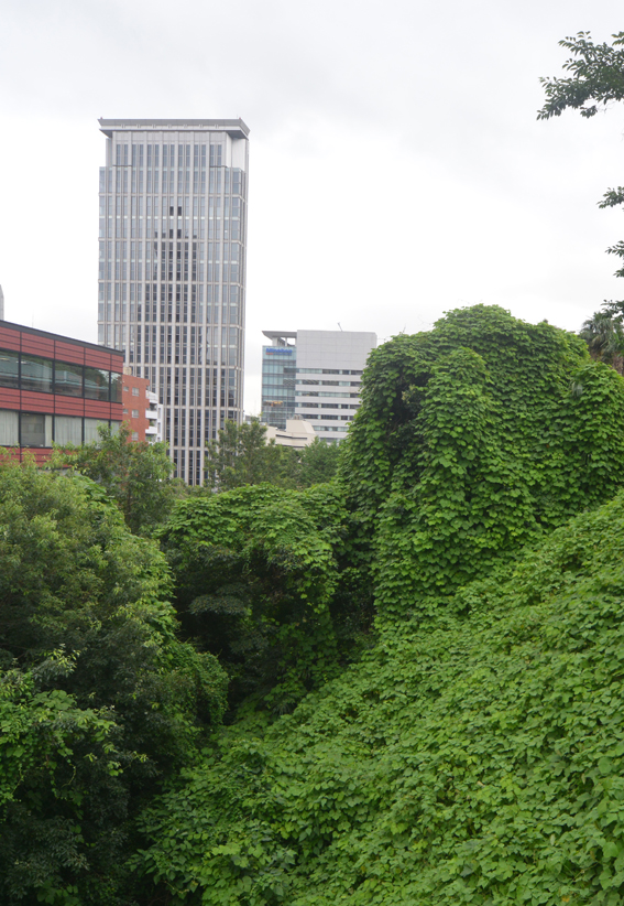 三田台地