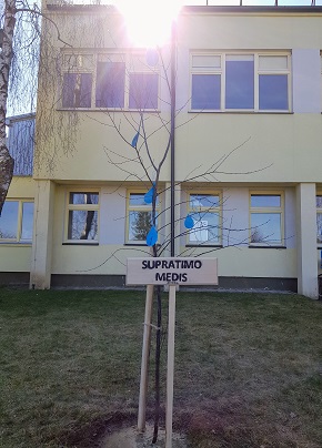 Nuotraukų albumas. Spausti ant nuotraukos.