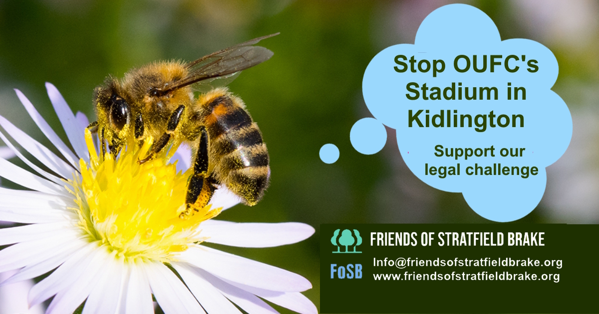 Help FoSB to challenge stadium approval in a court of law