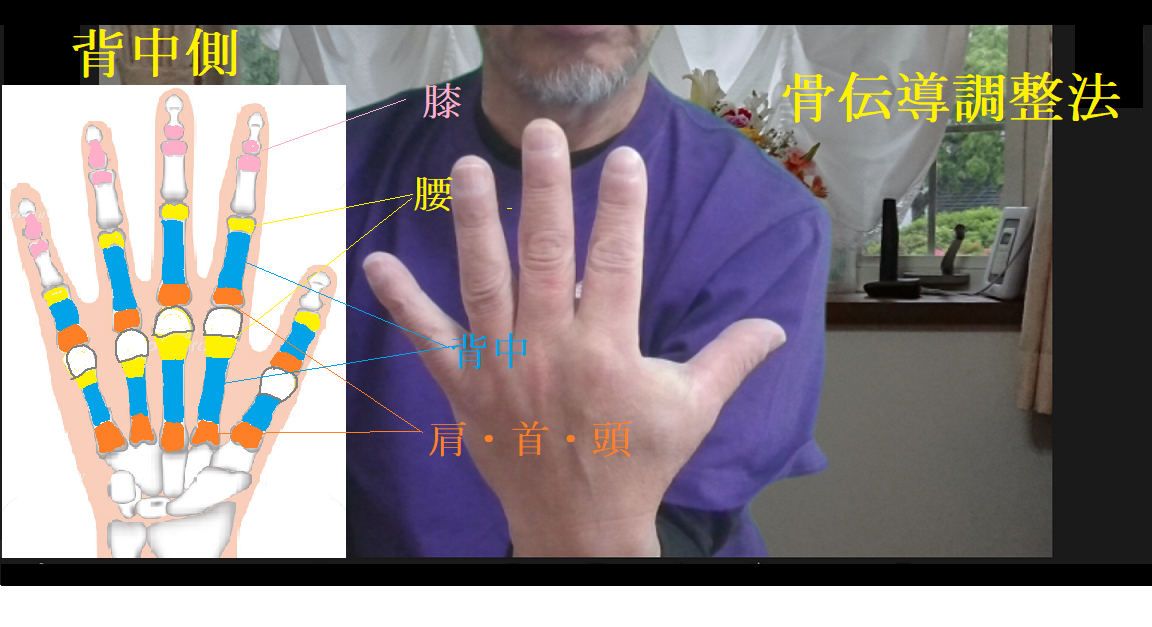 第一回　骨伝導調整（理論）整体法【痛みが瞬時に消える骨伝導調整法】