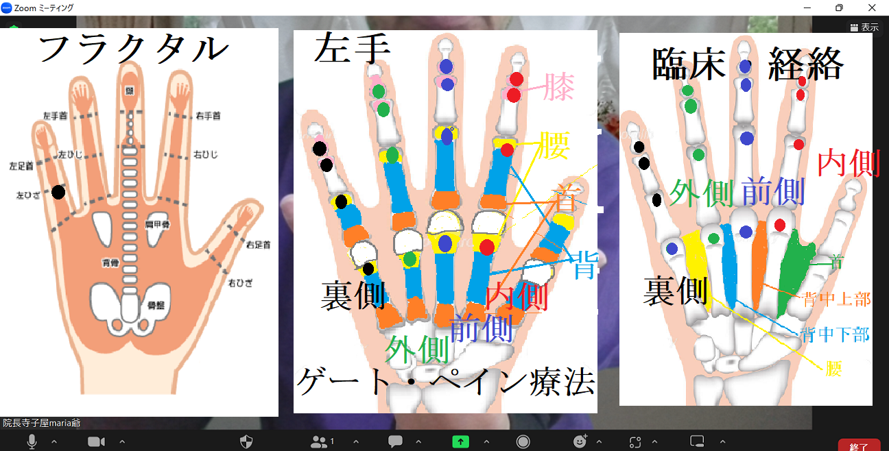 第四回　骨伝導調整（膝痛編）整体法【痛みが瞬時に消える骨伝導調整法】