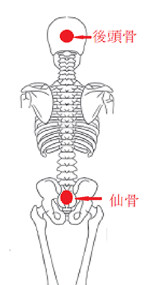 整体法3.手を置くだけで身体が楽になる簡単手当法【頭と仙骨の調整】