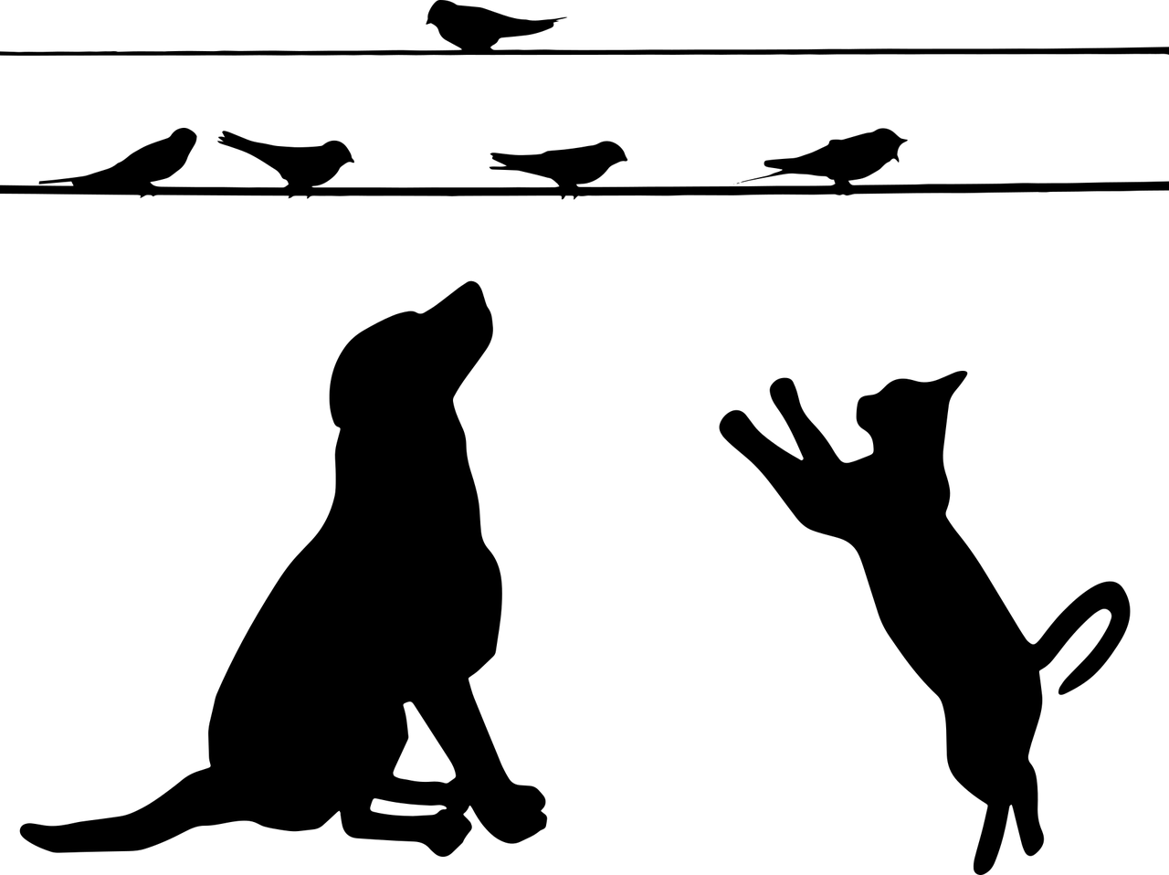 犬のヒーリング【イヌを治す前に人間を治せ】人間を治せば犬は治る！