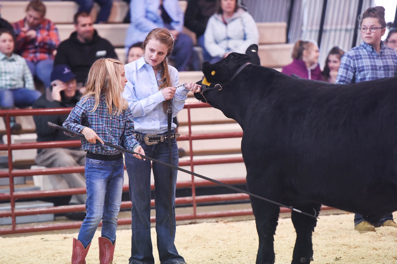 Home Fryeburg Youth Show