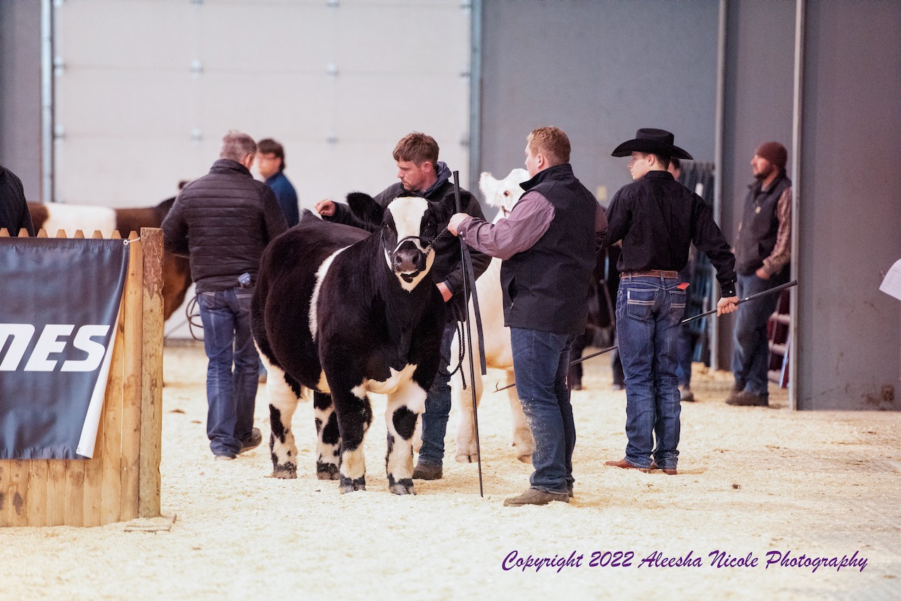 Home Fryeburg Youth Show