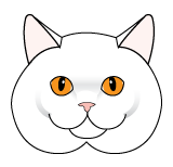 Шаблон мордочка котика