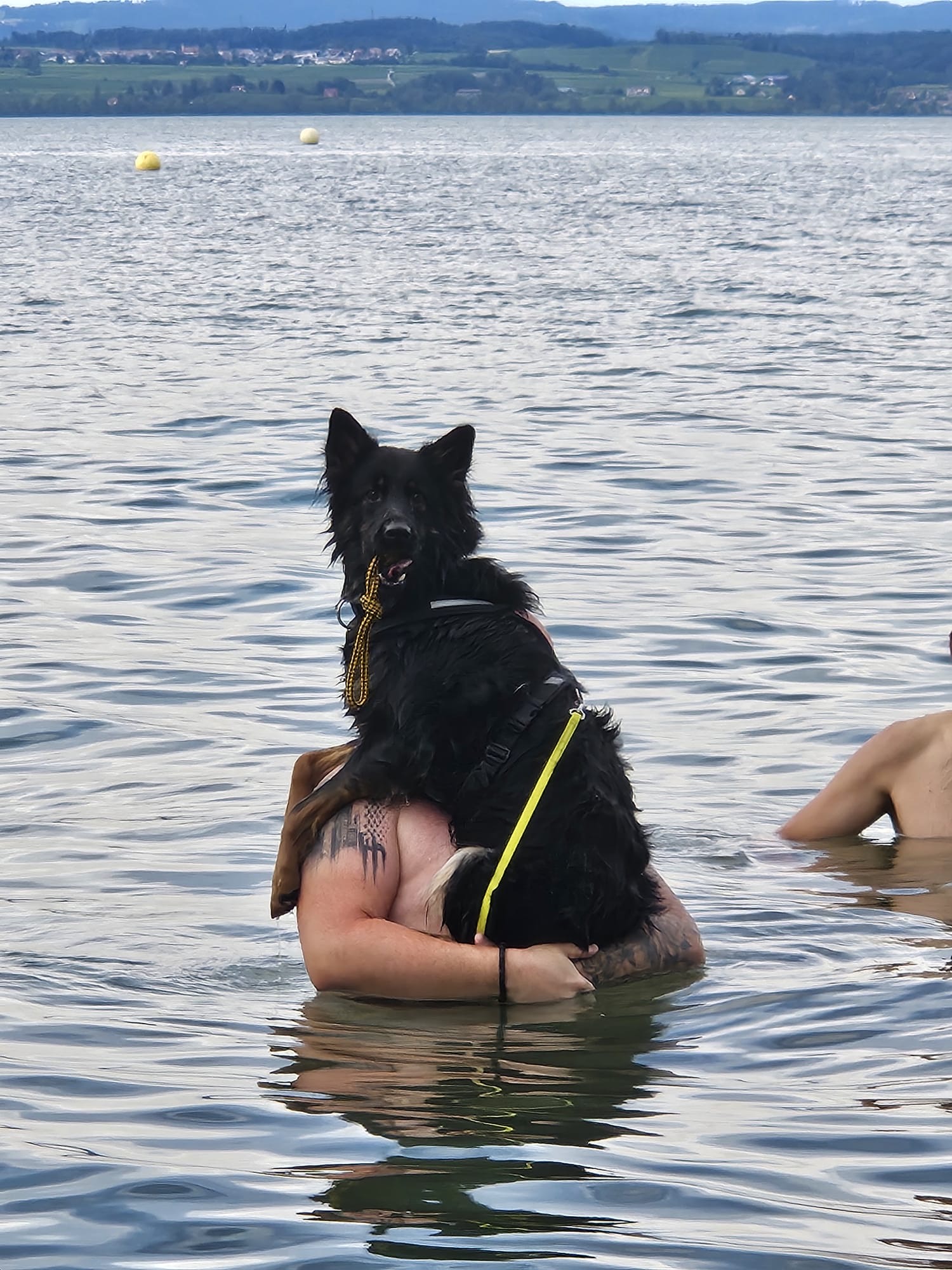 „oder doch wasserscheu…?“ schreibt Nanette von ihrer Akany welche ihre Welpenzeit hier mehr oder weniger im Wasserbecken verbracht hat😇😂😂