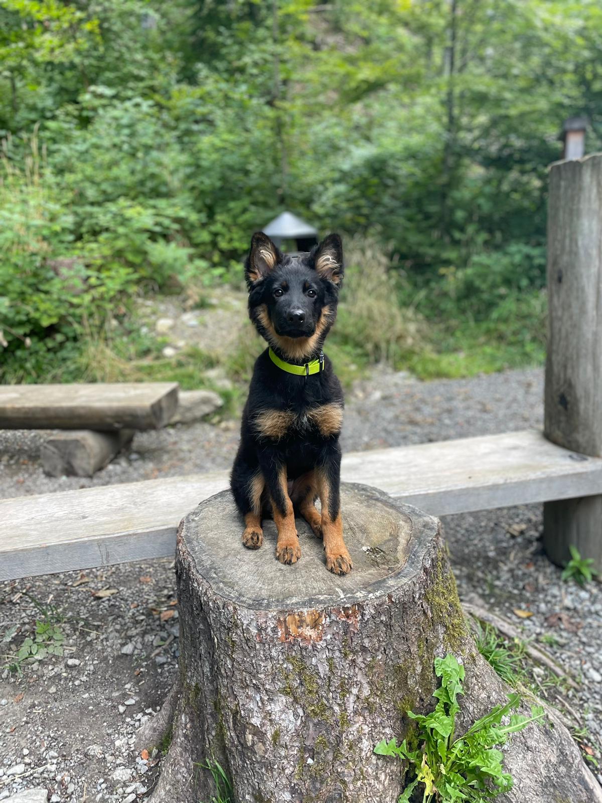 Tolles Foto von A-Jero
