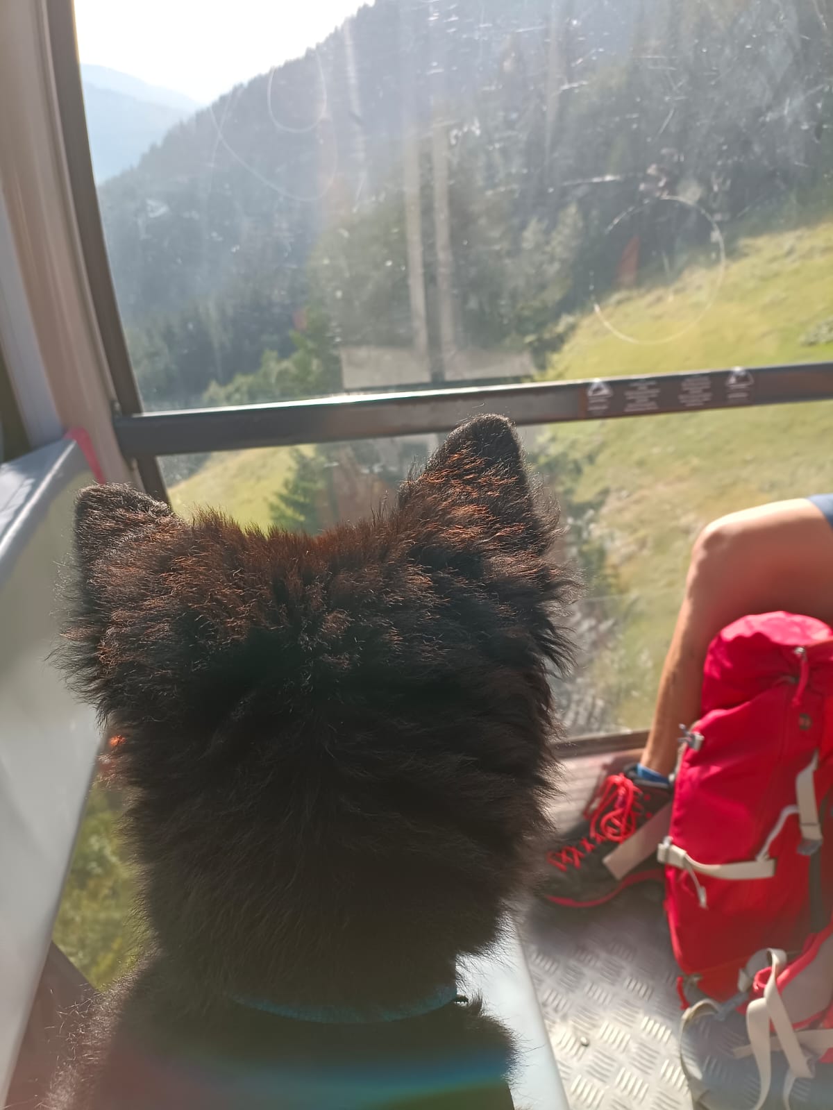 Grüsse aus den Bergen und der ersten Bahnfahrt von Amiro und Romy.