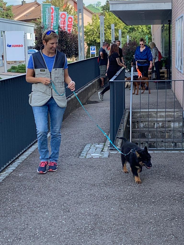 Ari in der Hundeschule