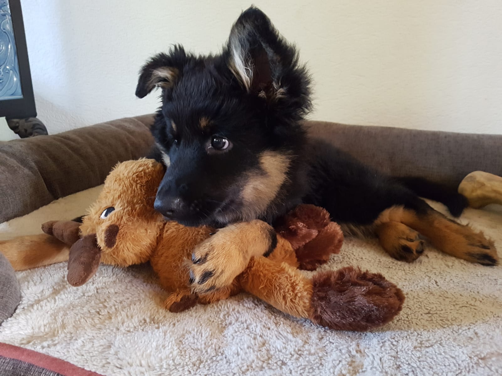 Akany❤️ danke für das wunderschöne Foto Nanette