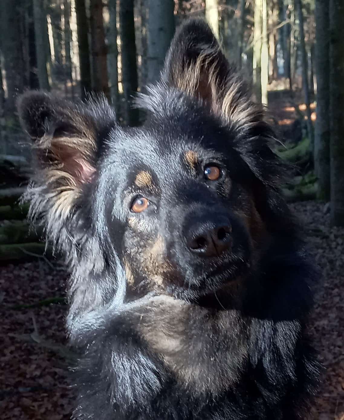 Akany, März 25
