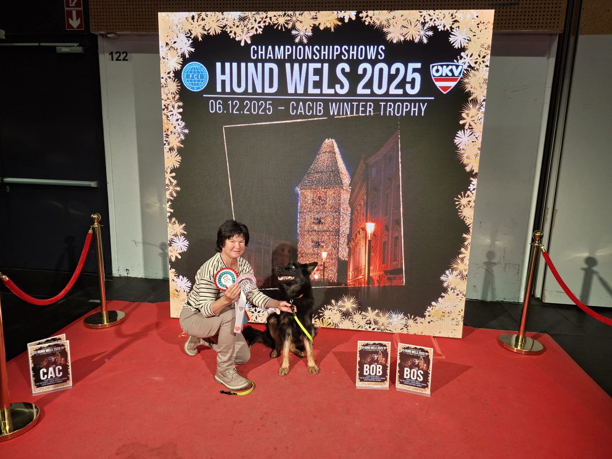 6.12.25 Amiro und ich waren in Wels bei der IHA. Wir haben die Herausforderung der Atmosphäre und die vielen Hunde auch gut gemeistert. Amiro hat bei den Shows vorzügliche Bewertungen bekommen.