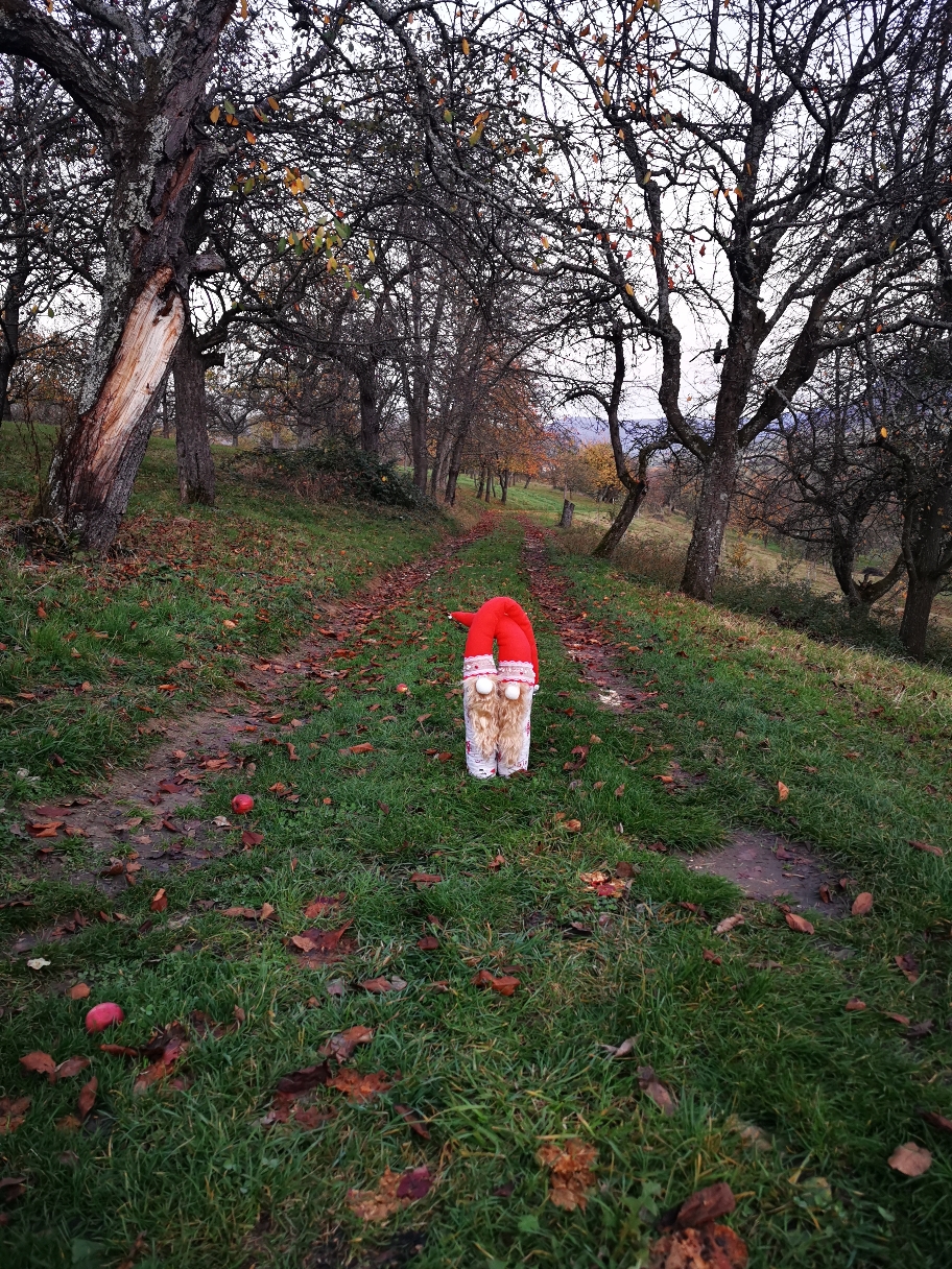 Eine Reise im Herbst