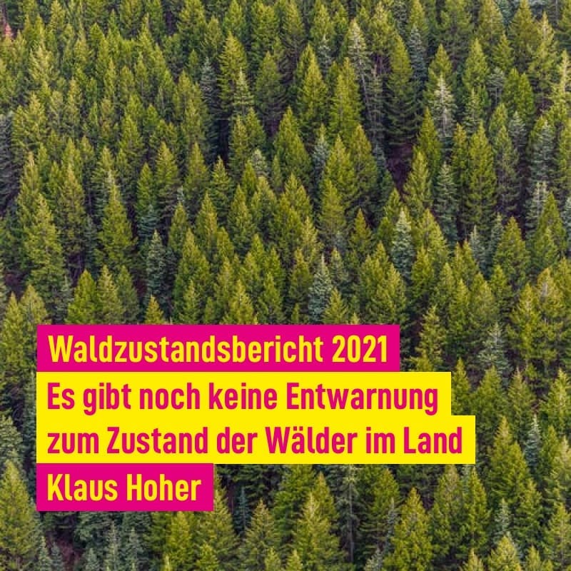 Zustand unserer Wälder