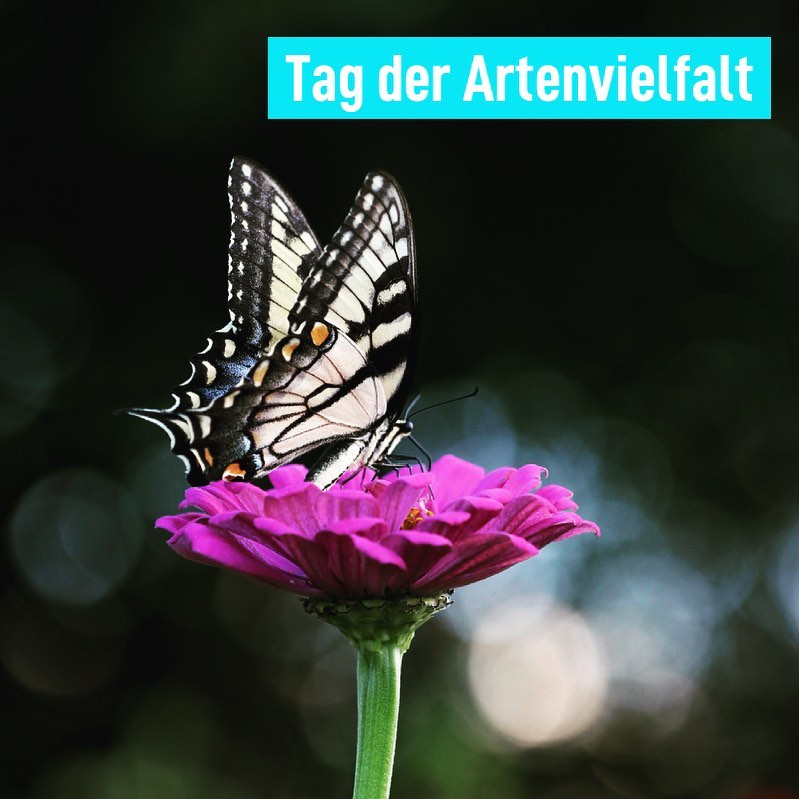 Tag der Artenvielfalt