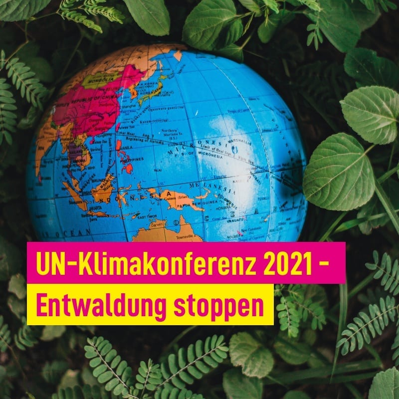 Entwaldung soll gestoppt werden