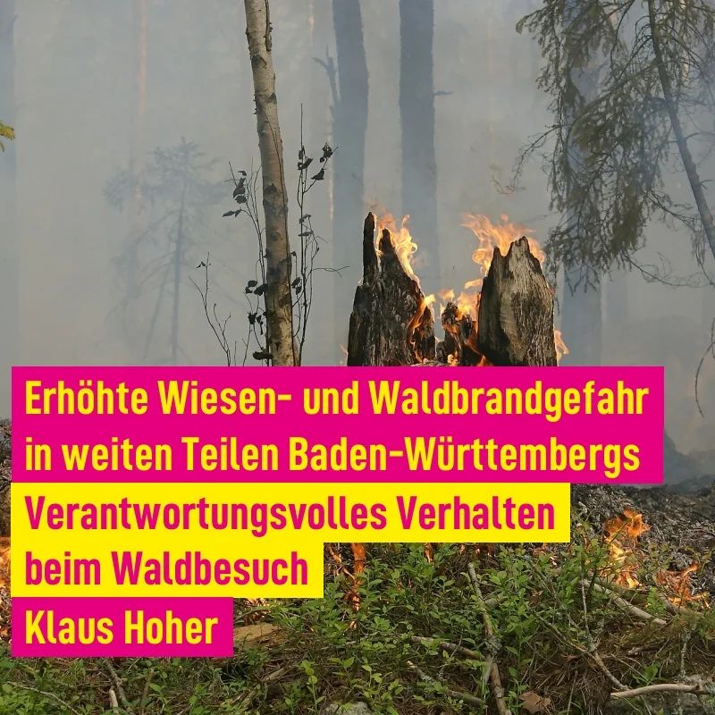 Aktuell erhöhte Waldbrandgefahr in weiten Teilen Baden-Württembergs - Rhein-Neckar-Zeitung und das Ministerium für Ländlichen Raum und Verbraucherschutz bericht