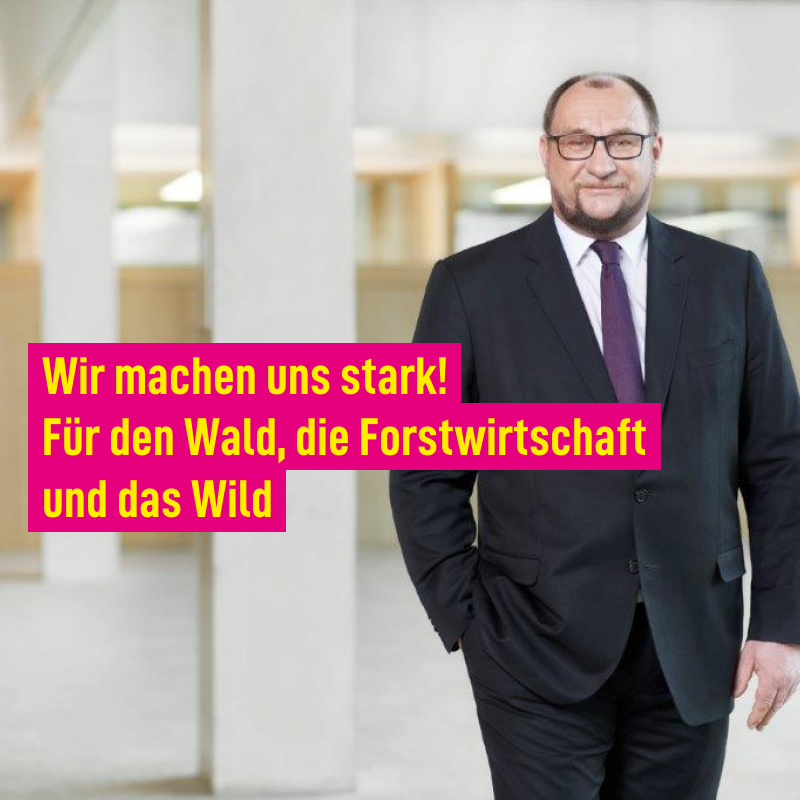 Die aktuelle Politik der grünen Urwald-Romantik muss gestoppt werden.