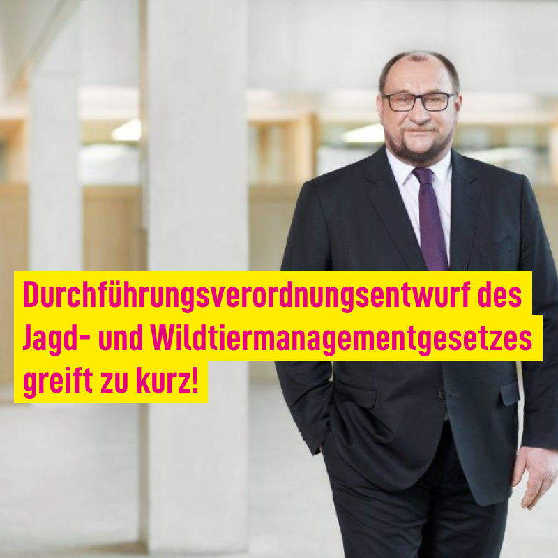 Durchführungsverordnung des Jagd- und Wildtiermanagementgesetzes.