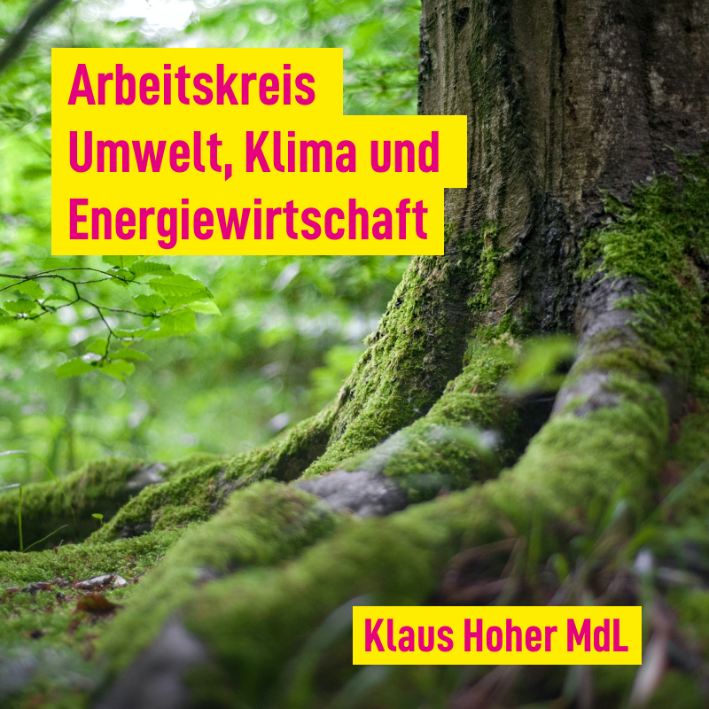 Arbeitskreis Umwelt, Klima und Energiewirtschaft