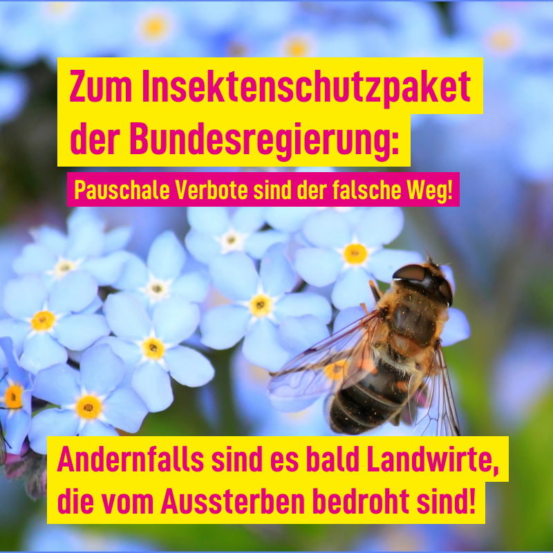 Heute behandelt der Bundestag das Insektenschutzpaket der Bundesregierung‼