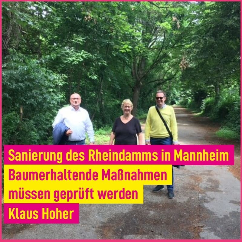 Sanierung des Rheindamms in Mannheim