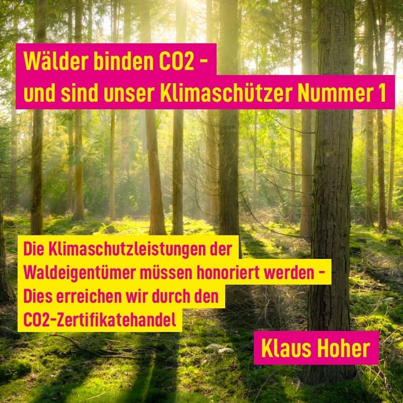 Wälder binden CO2