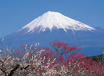 富士山