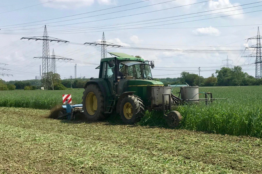 Die Zwischenfrucht wird mit effektiven Mikroorganismen beimpft und flach in den Boden eingefräst, um Nährstoffe im Boden einzubauen