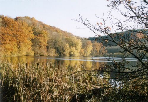 Immerather Maar im Herbst