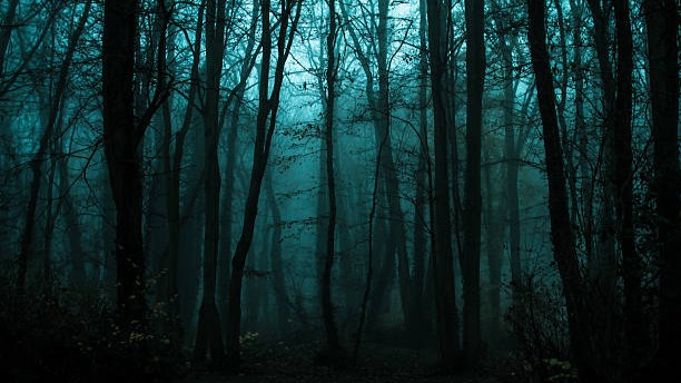 L’Apprendimento Continuo (e una Finestra Aperta sul Bosco)