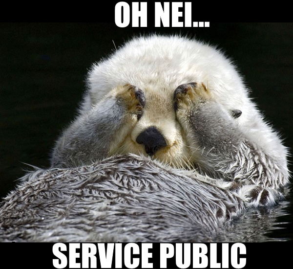 fauntleroy blog otter jöh service public logo