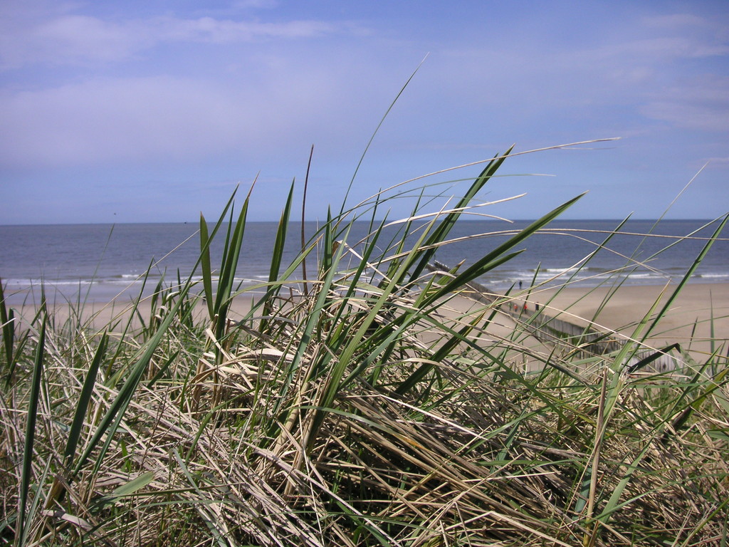 die Dünen sichern das Hinterland