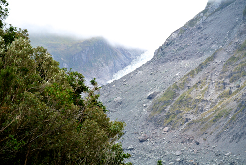 2014 | NZ Südinsel | «Fox Gletscher», «Westland Nationalpark»: Gletscherzunge. Als 1965 «da» war, reichte der Gletscher noch hinunter bis ins Tal.