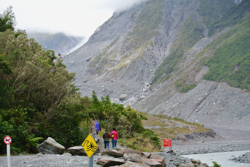 2014 | NZ Südinsel | «Fox Gletscher», «Westland Nationalpark»: Gletscherzunge. Als 1965 «da» war, reichte der Gletscher noch hinunter bis ins Tal.