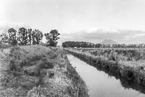 Whakatane | RD 3, Bay of Plenty: «Drainage». Be-/Entwässerungssystem auf der ganzen Farm.