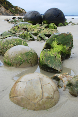 2014 | NZ Südinsel | «Koekohe», Ortago, «Moeraki Bolders»: Ungewöhnlich grosse, kugelförmige Konkretionen an der Koekohe Beach, Küste von Ortago.